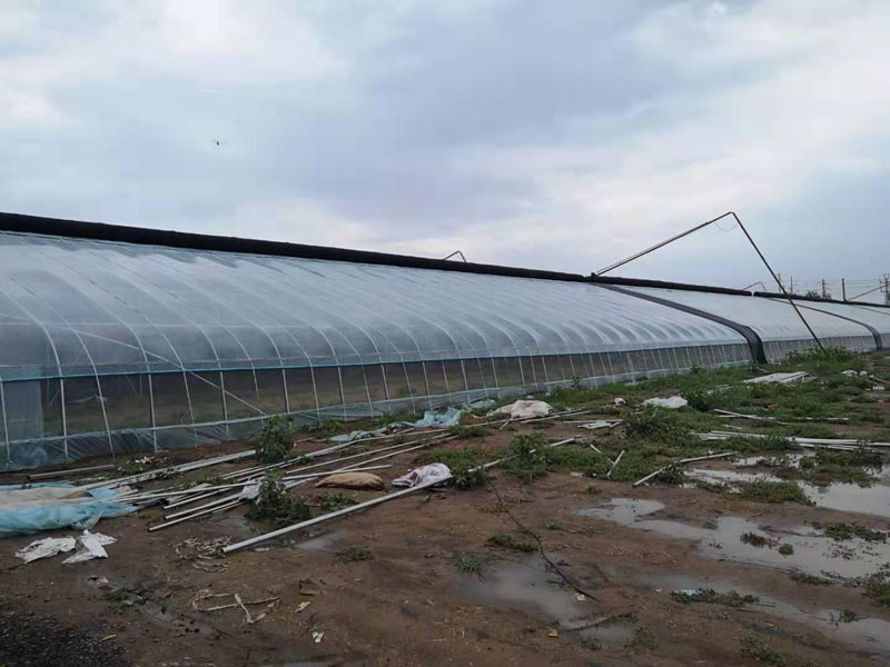 溫室大棚 溫室大棚